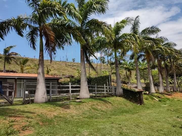 Sitio cinematográfico – a natureza a seu favor