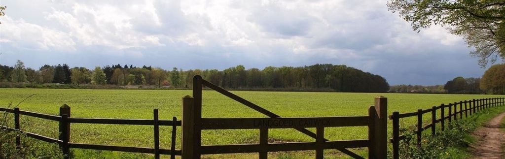 fazenda 100 alqueires