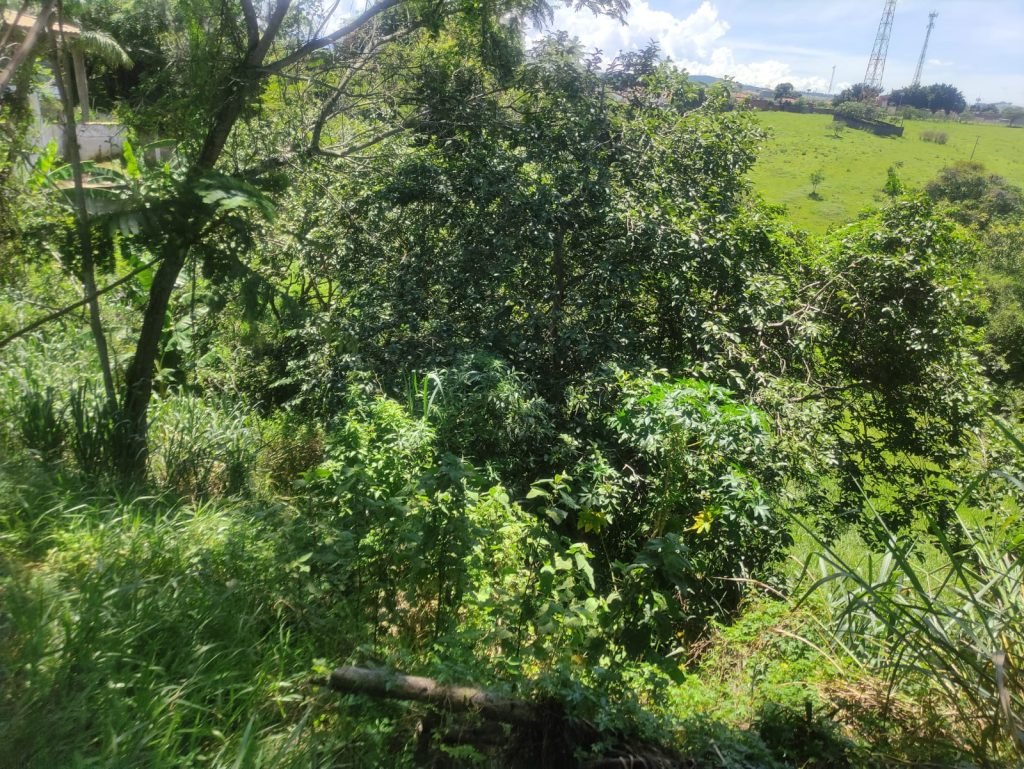 IMPERDÍVEL!!!  TERRENO COM 1000m² – NA SARAH KUBITSCHEK – NEGOCIÁVEL