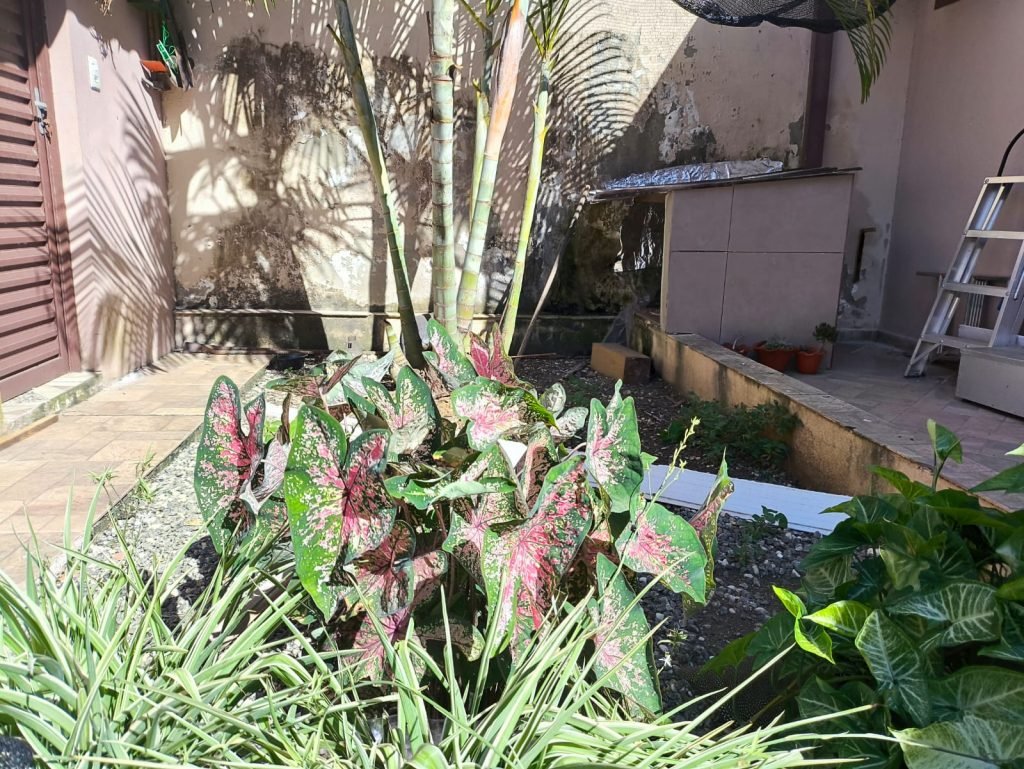 CASA DE ALTO PADRÃO NO CONDOMÍNIO NOVA CACHOEIRA