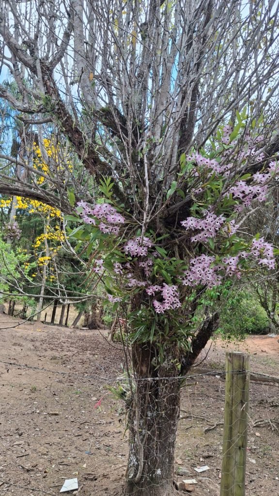 Seu Refúgio Exclusivo: Casa Aconchegante na Deslumbrante Serra da Bocaina